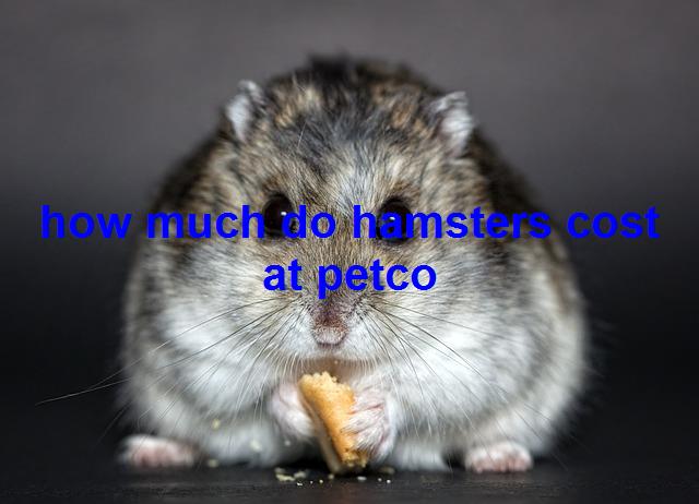 How much do hamsters cost at petco - Wepetslover.com
