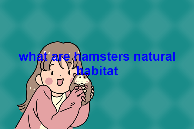 What are hamsters natural habitat - Wepetslover.com